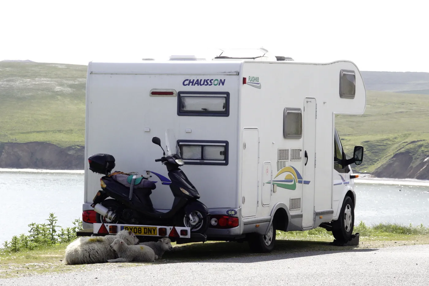 Moutons couchés à l'ombre d'un camping-car garé au bord de la mer